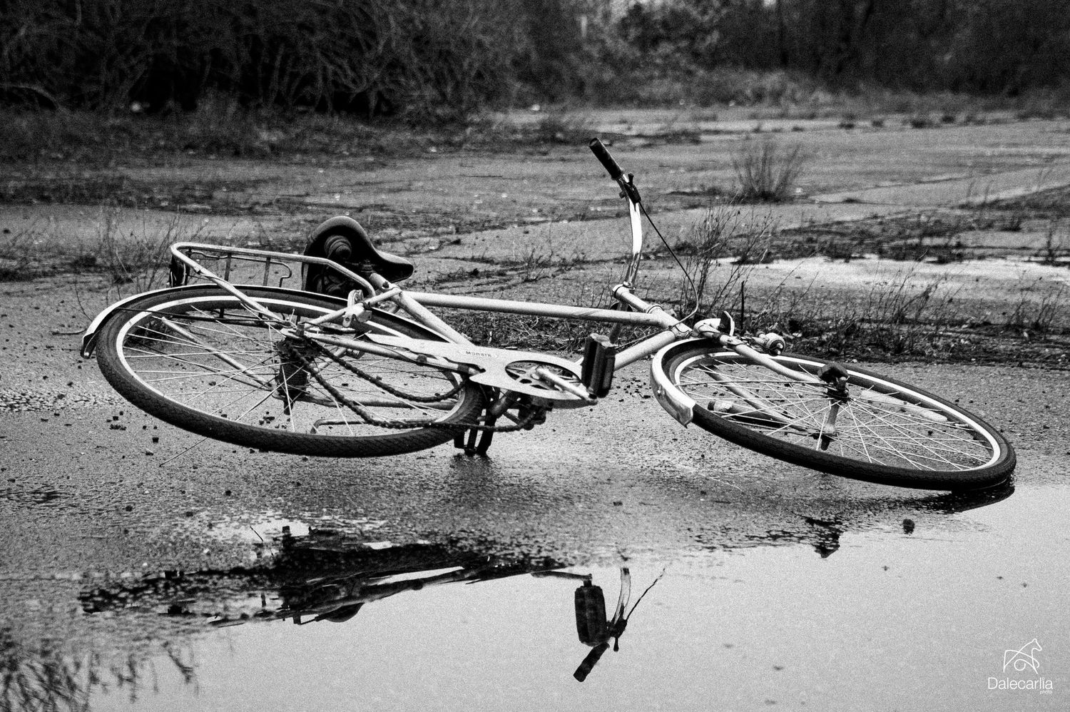 A vintage bicycle lies abandoned in a puddle of water, captured in black and white photography.