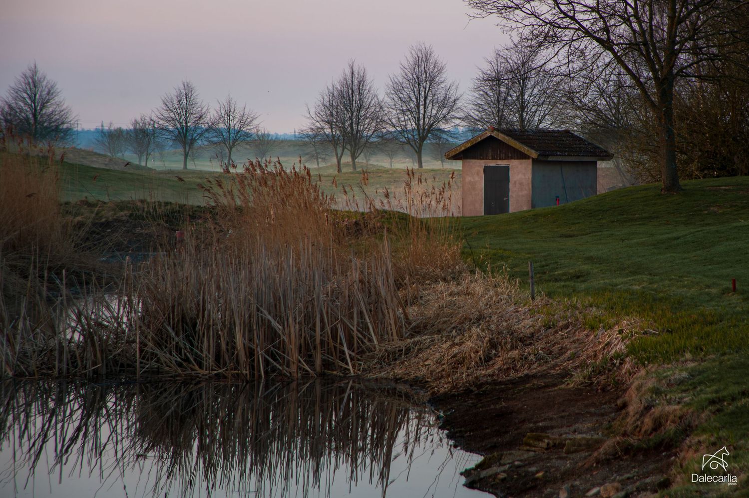 Tranquil rural pond at dusk with reed grasses, bare trees, and a small wooden shed on a green hillside.