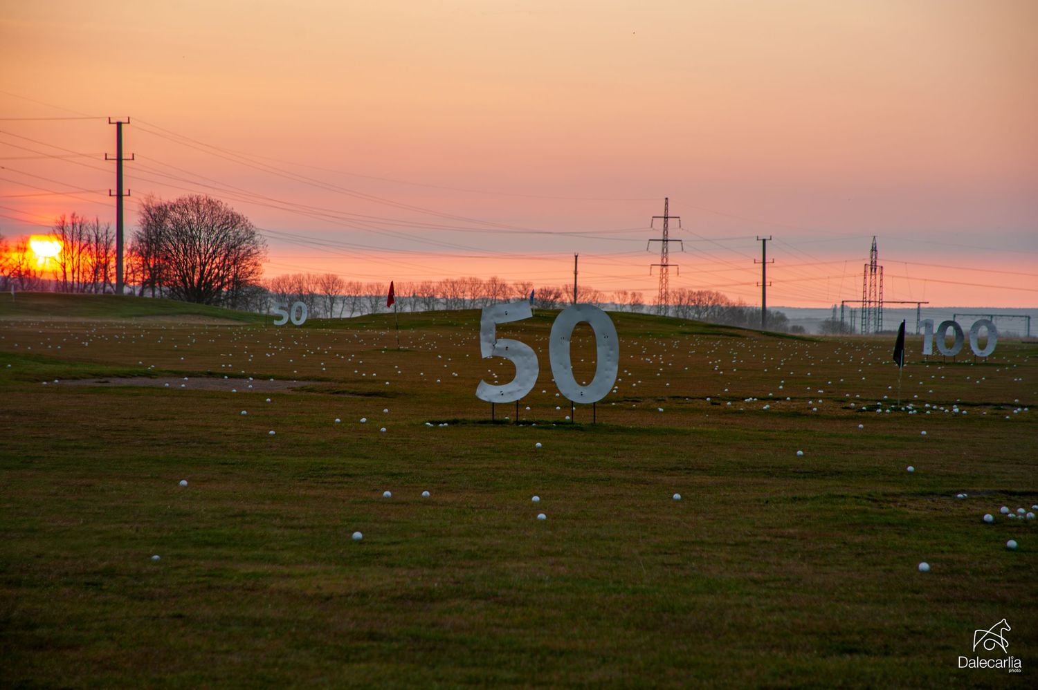 Large number 50 sign on a grassy field at sunset with power lines and trees silhouetted against an orange sky.