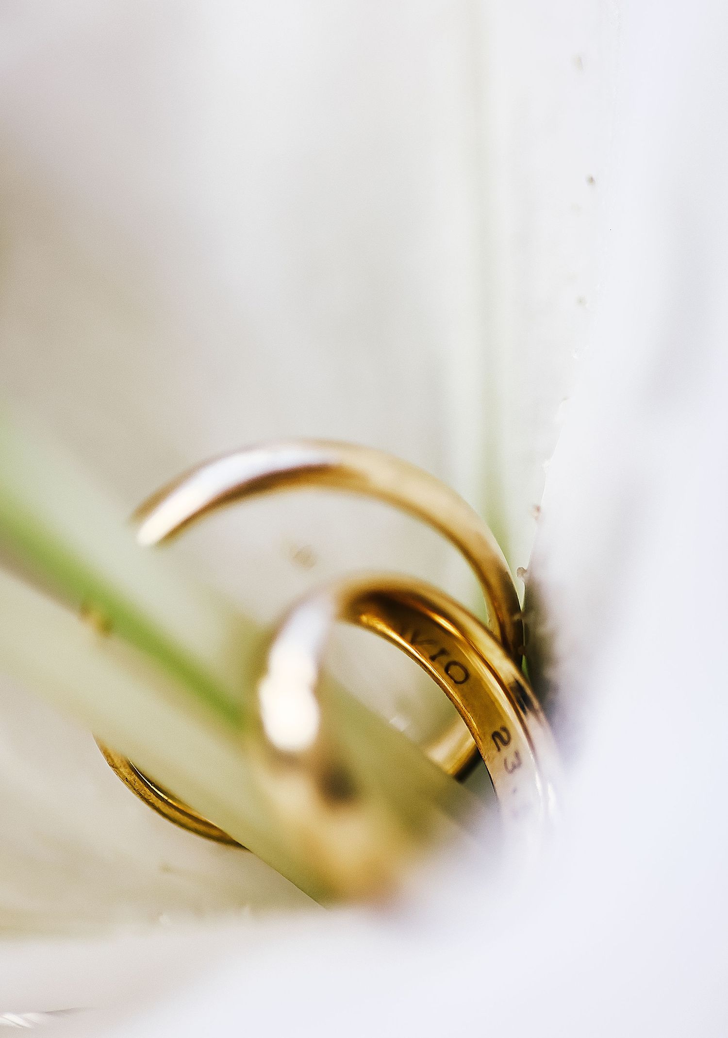 luxury wedding celebration with refined details