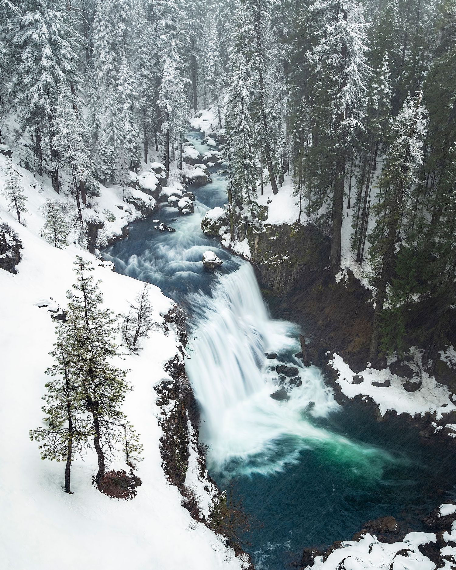 Snow-covered pine forest with a turquoise waterfall cascading through rocky cliffs in winter wilderness.