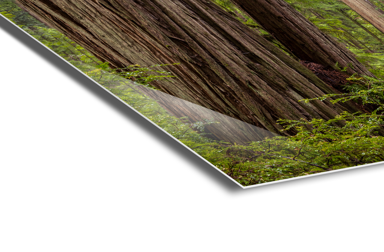 An edge view of a metal print.