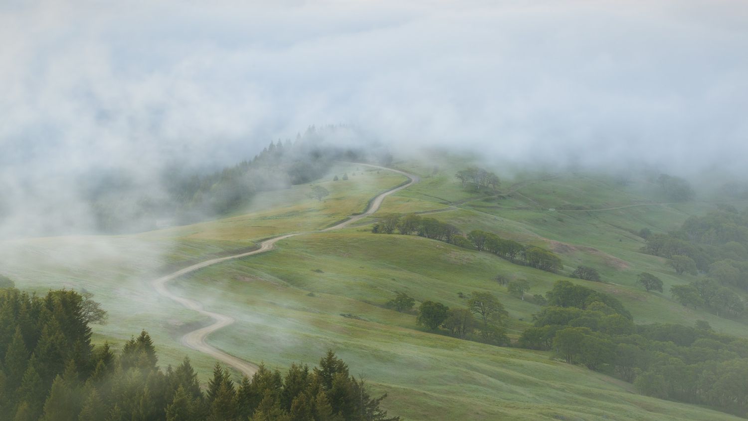 A photograph of a misty mountain landscape with winding road cutting through green rolling hills and forest in foggy conditions.