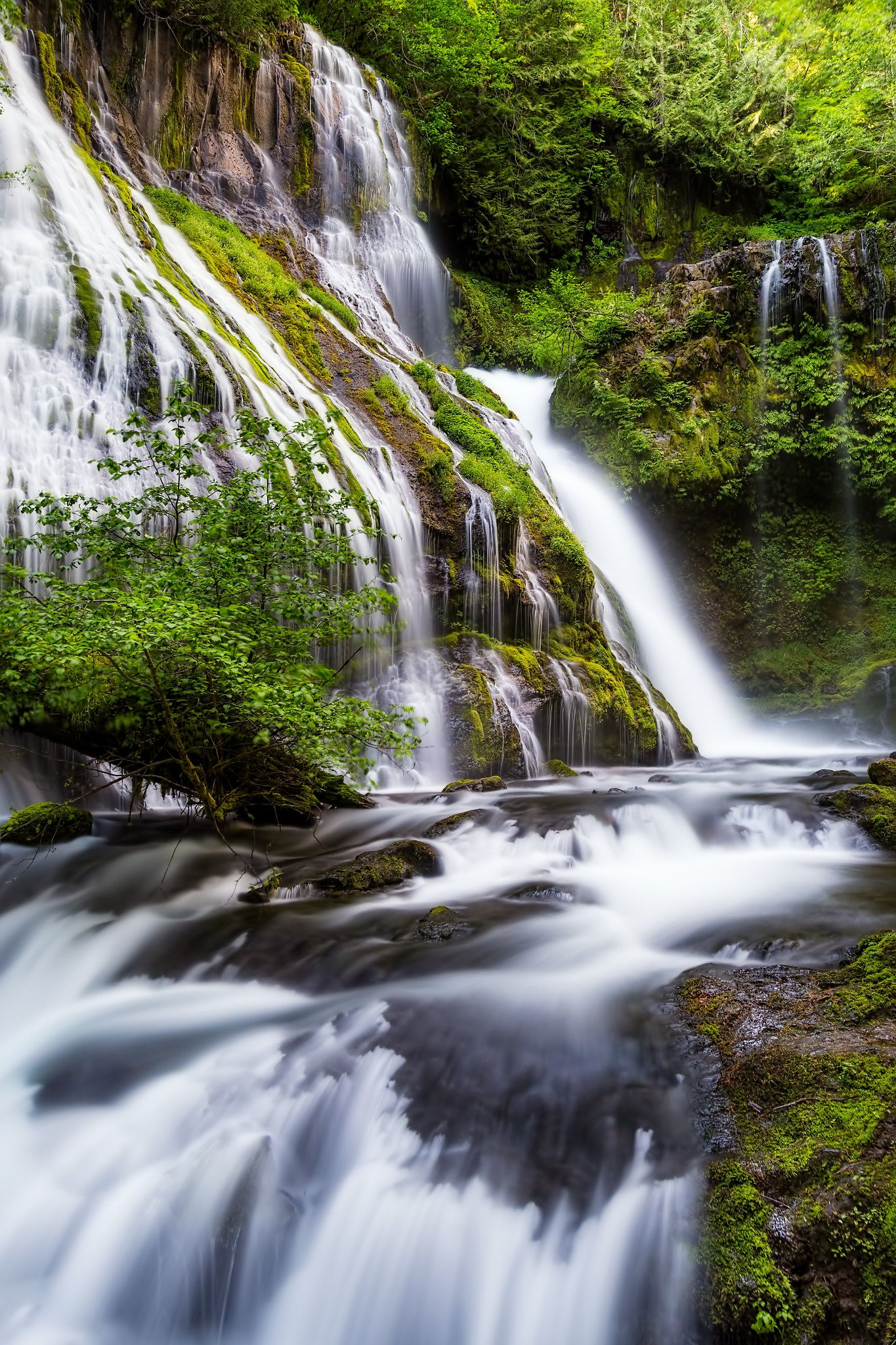 A long exposure photograph of a cascading waterfall flowing through the lush green forest of the Pacific Northwest.