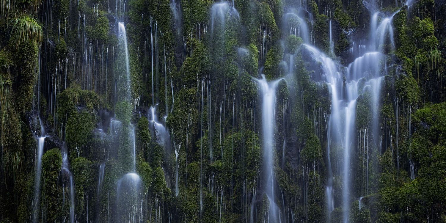 Multiple cascading waterfalls streaming down a lush green moss-covered rocky face of Mossbrae Falls surrounded by dense tropical foliage.