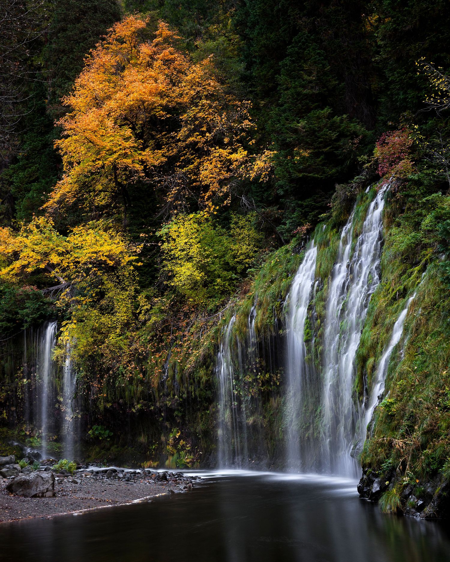A panoramic Mossbrae Falls surrounded by autumn foliage and dark rocks in a the Northern California forest of Dunsmuir, California.