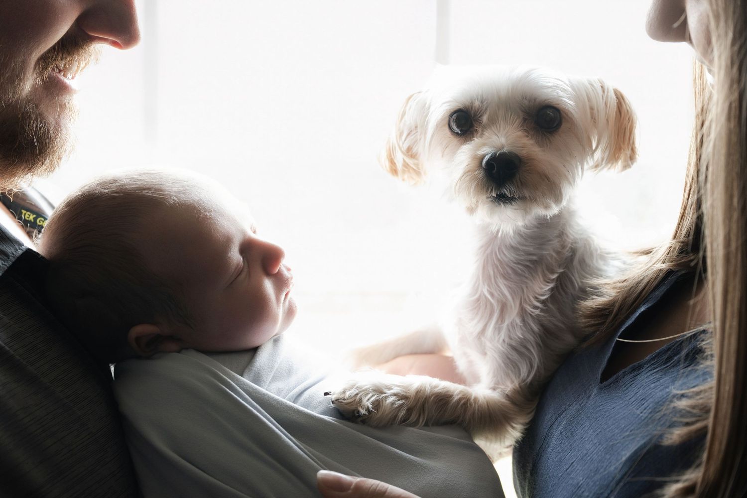 A bearded man holds a newborn baby beside a woman cradling a small white fluffy dog near a bright window.