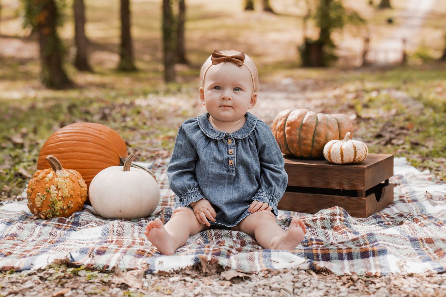 Autumn outdoor photo session with pumpkins, plaid blanket and fall decor in a natural setting.