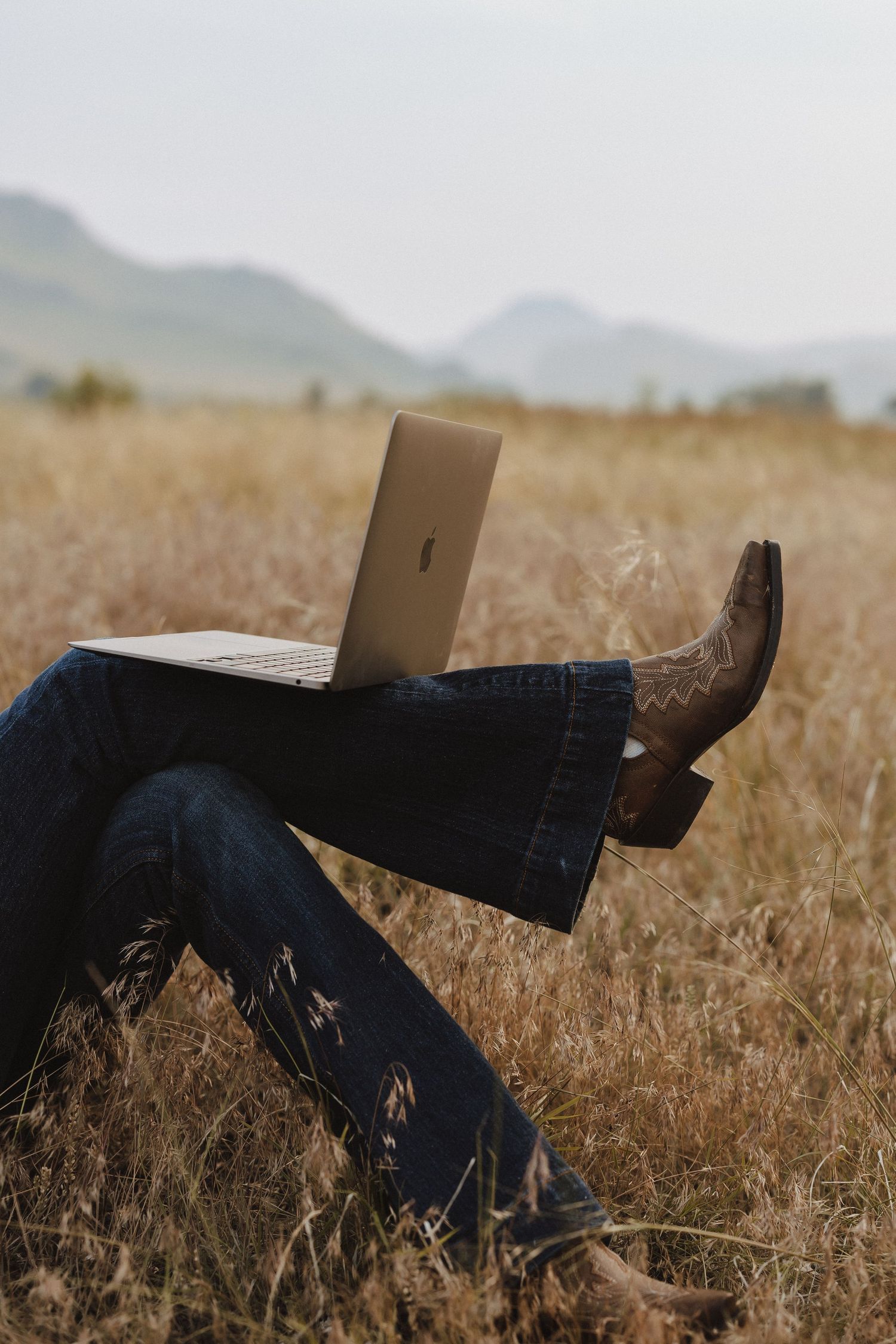 Person in jeans and cowboy boots using a laptop while relaxing in a golden field with mountains in the background.