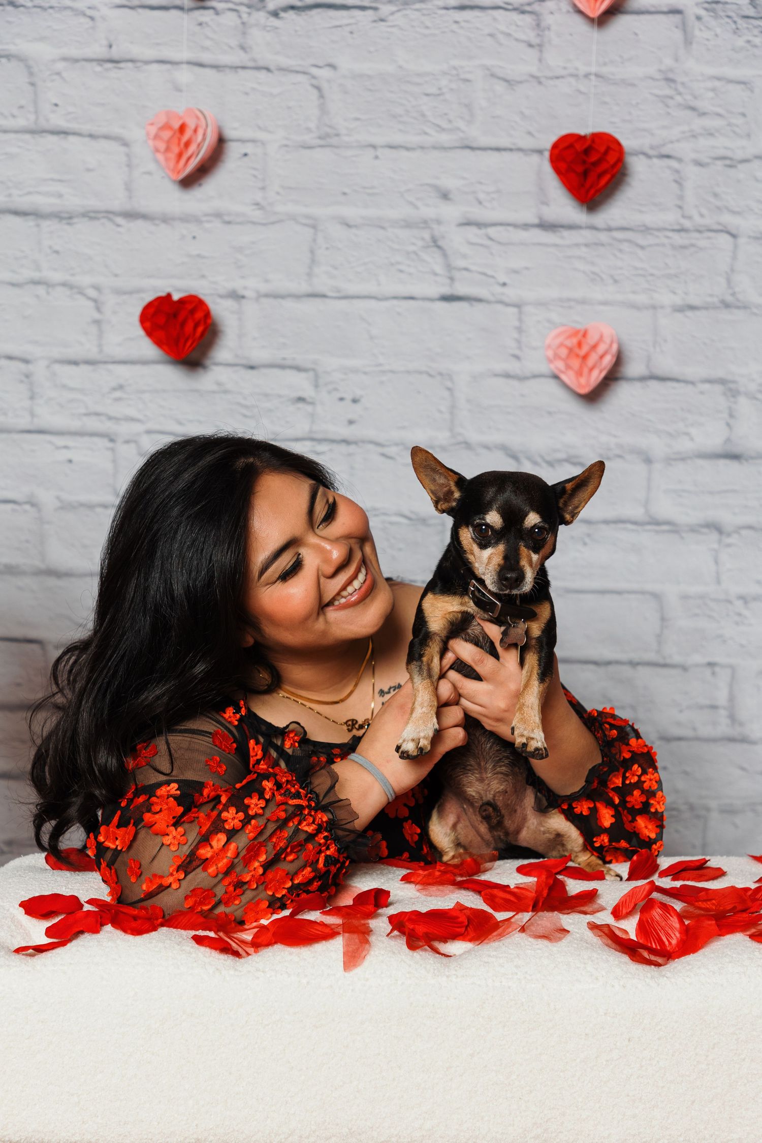 Person in floral dress poses with small chihuahua against Valentine's day backdrop.