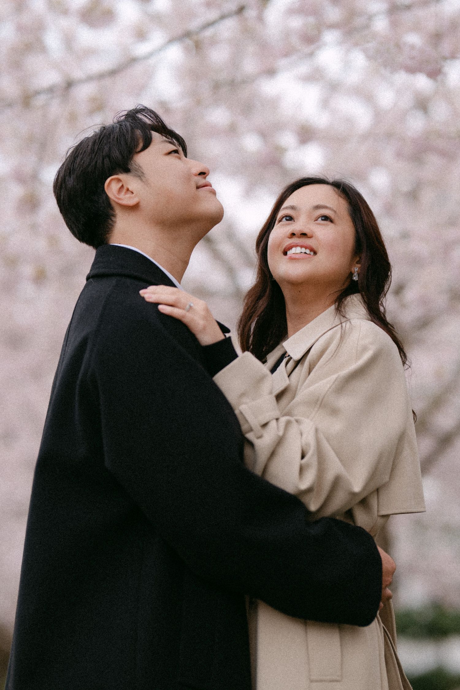 Close-up of couple under cherry blossom canopy at UBC Rose Garden. Vancouver engagement by Victor Li Photography.