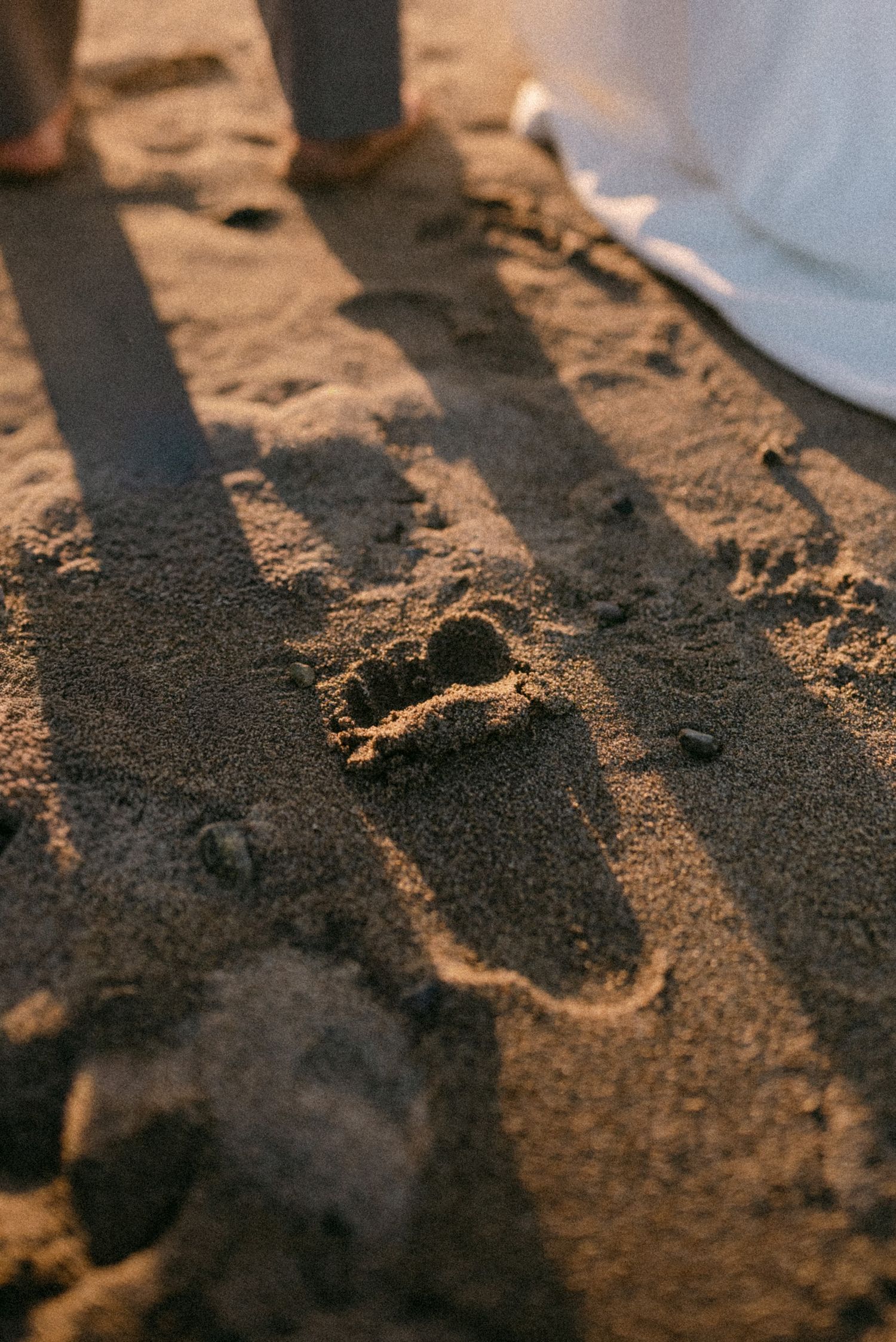Close-up of footprint from couple walking along Spanish Banks beach. Vancouver prewedding and engagement by Victor Li Photography.