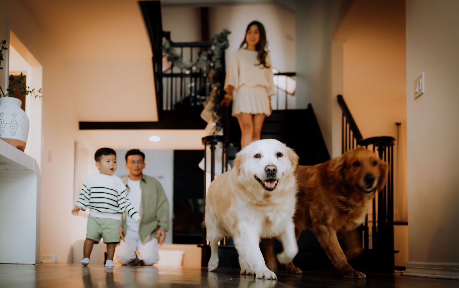 A warm-toned photo series featuring dogs and family members in a cozy home environment.