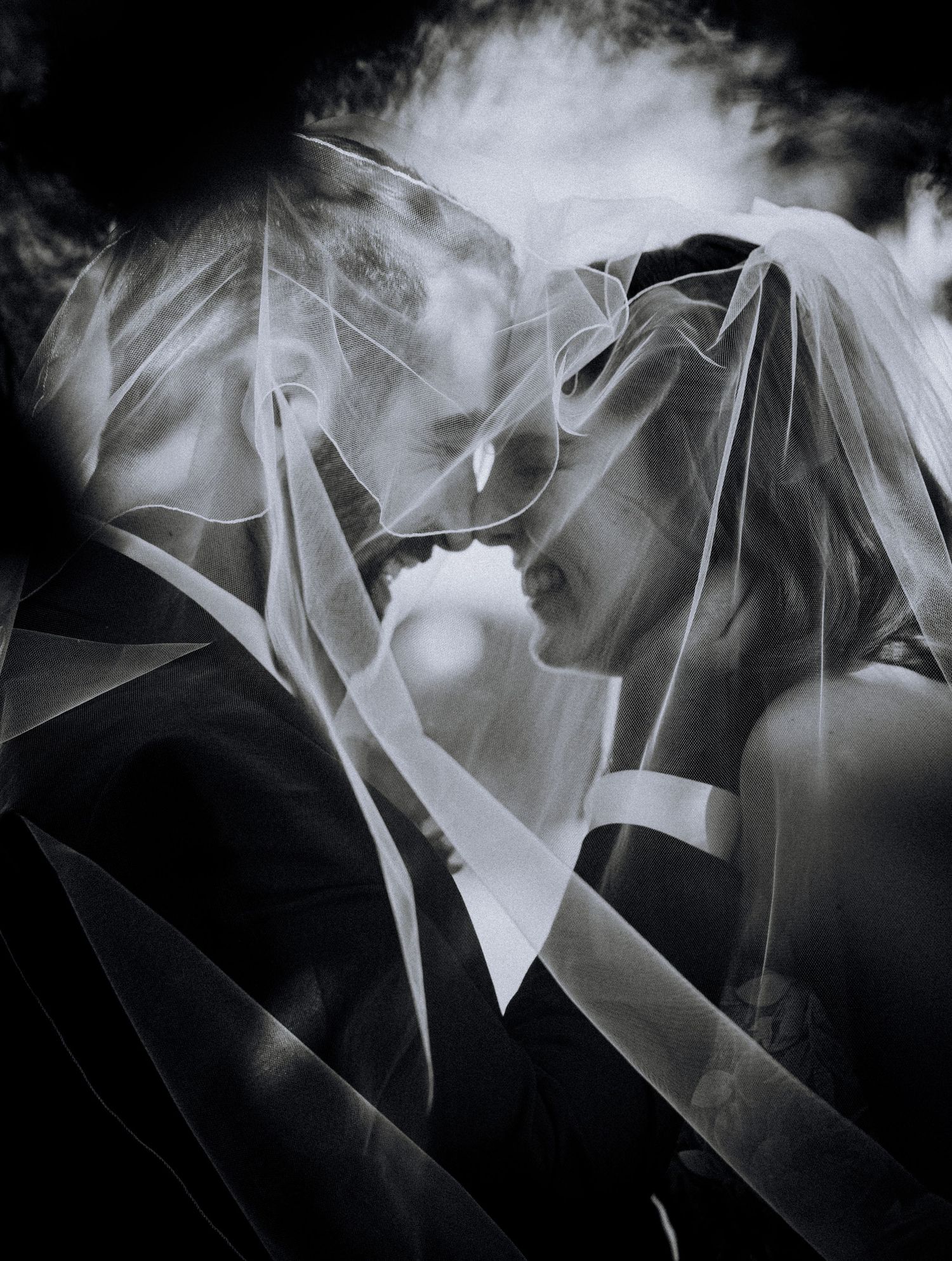 Artistic black and white portrait of newlyweds under flowing wedding veil.