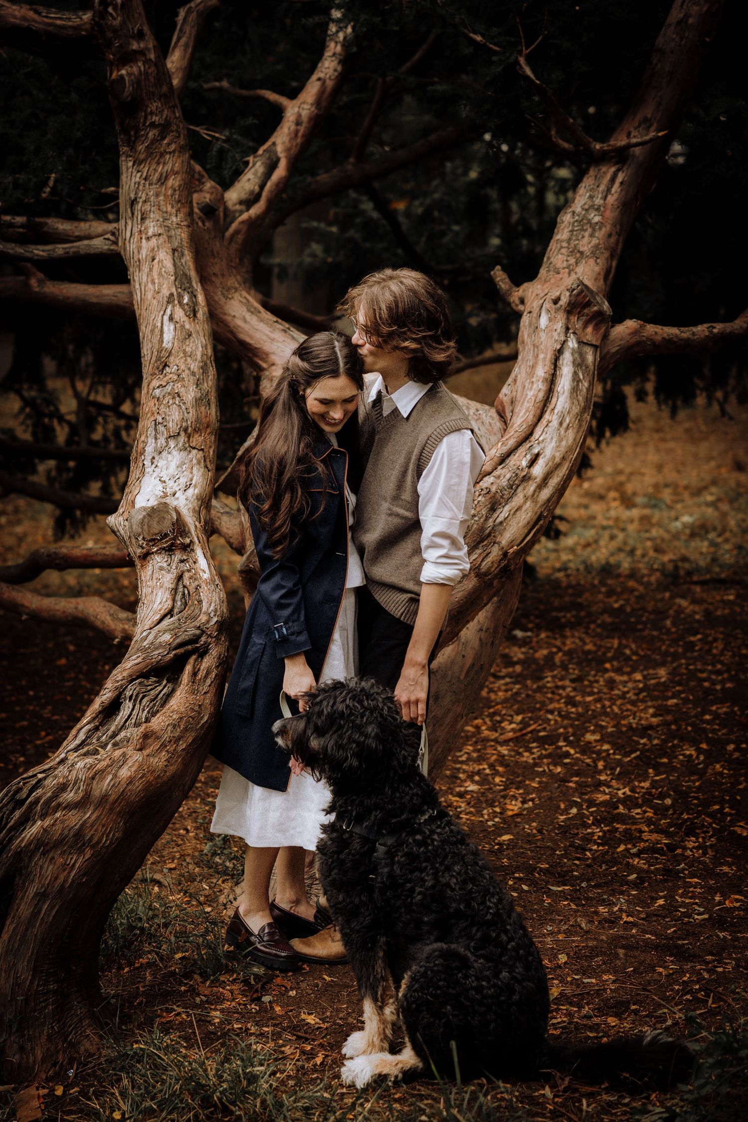 A romantic couple stands between gnarled tree trunks in an autumn forest with their black dog.