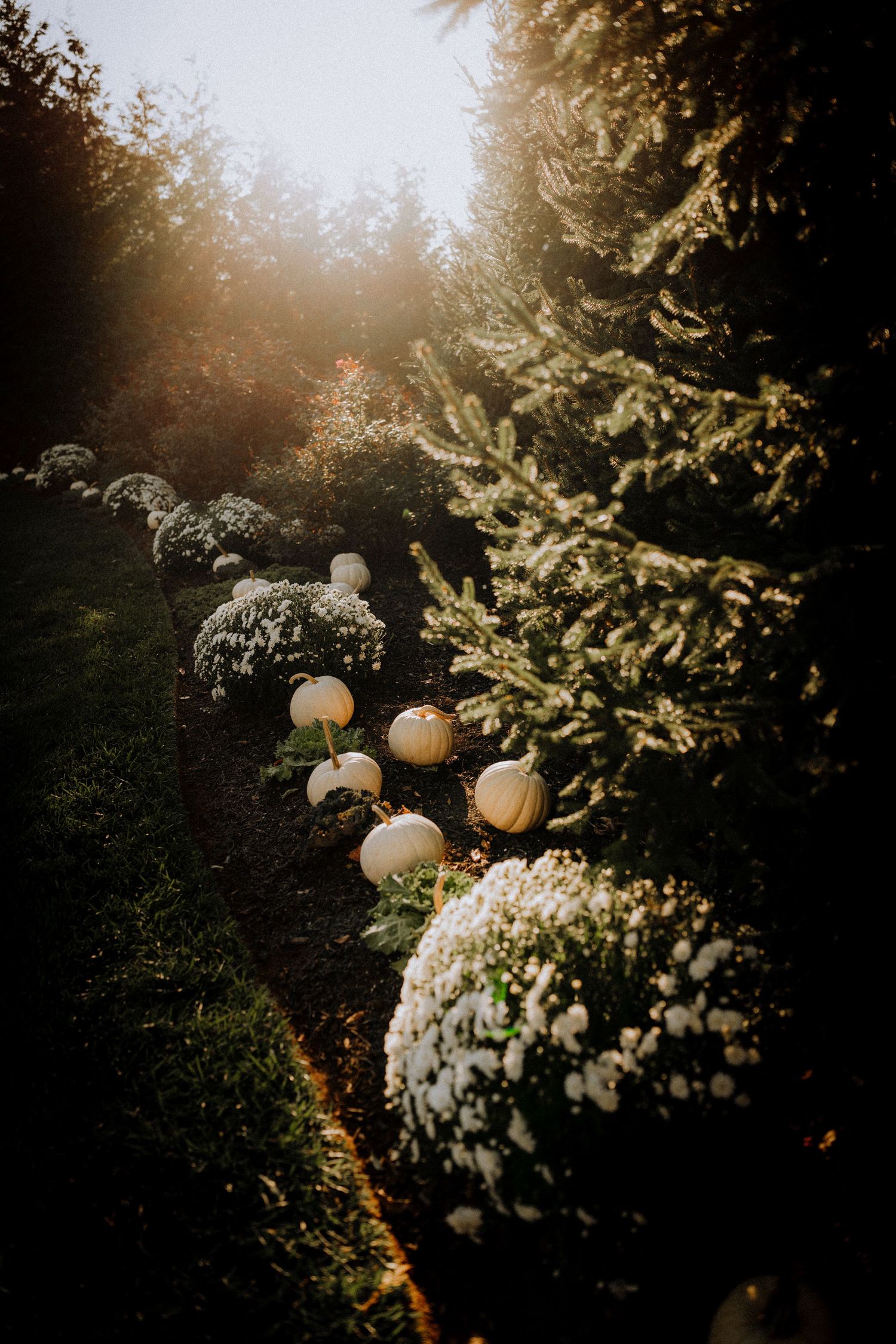 White paper lanterns and floral arrangements glow softly against lush greenery at dusk.