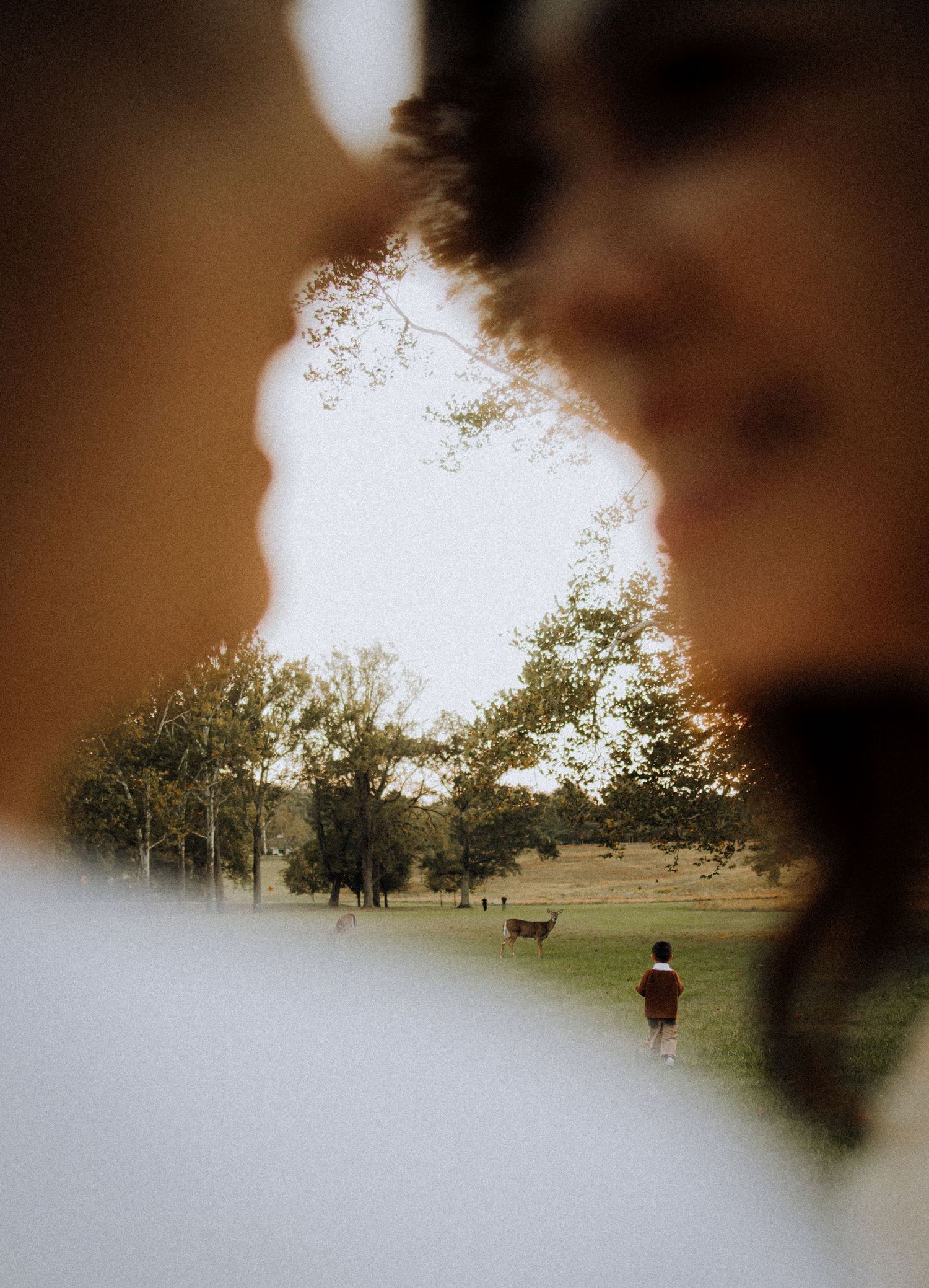 Blurred landscape photo with dreamy bokeh effect at sunset.