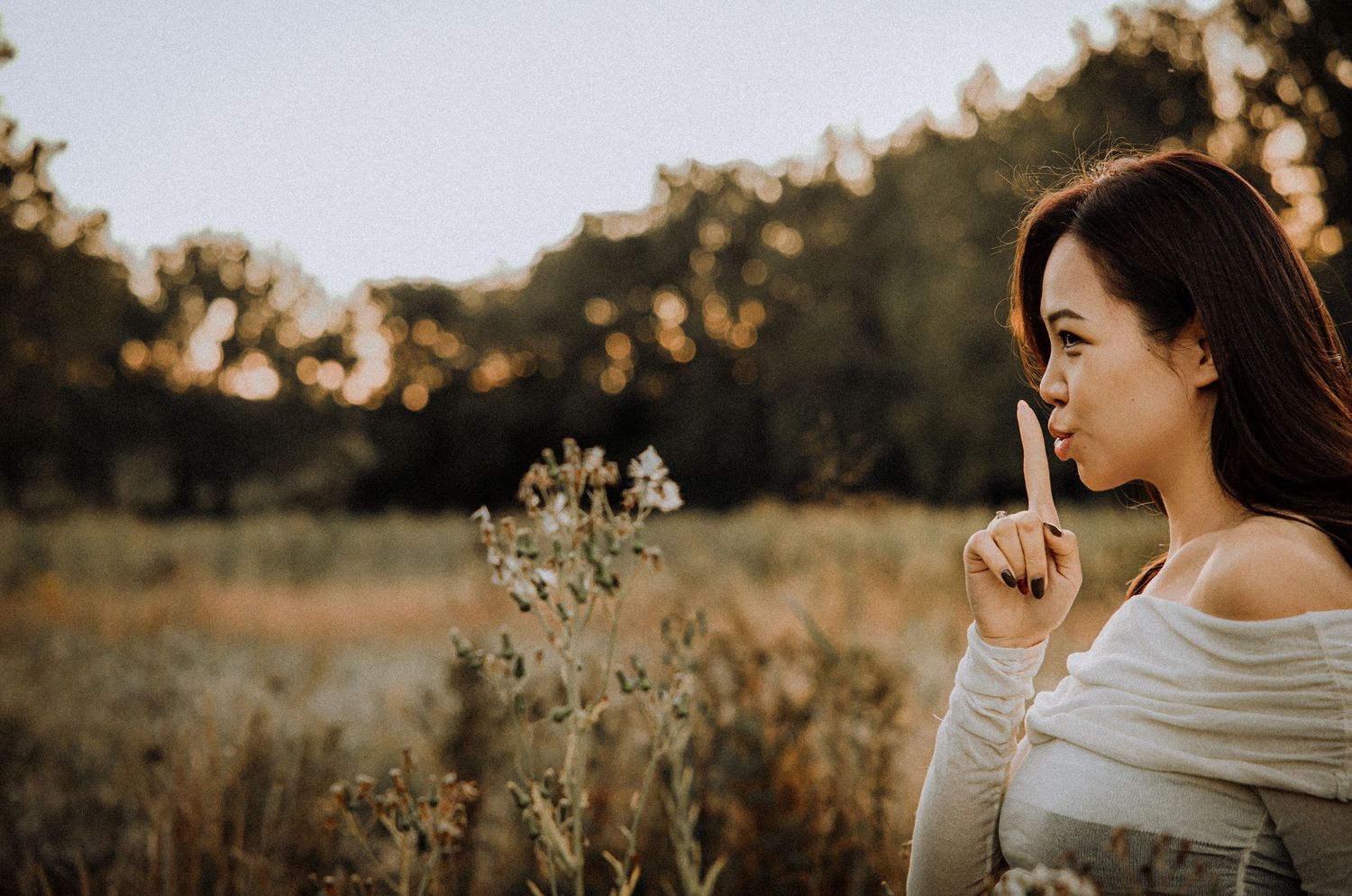 Sunset maternity photoshoot in field with soft golden lighting.