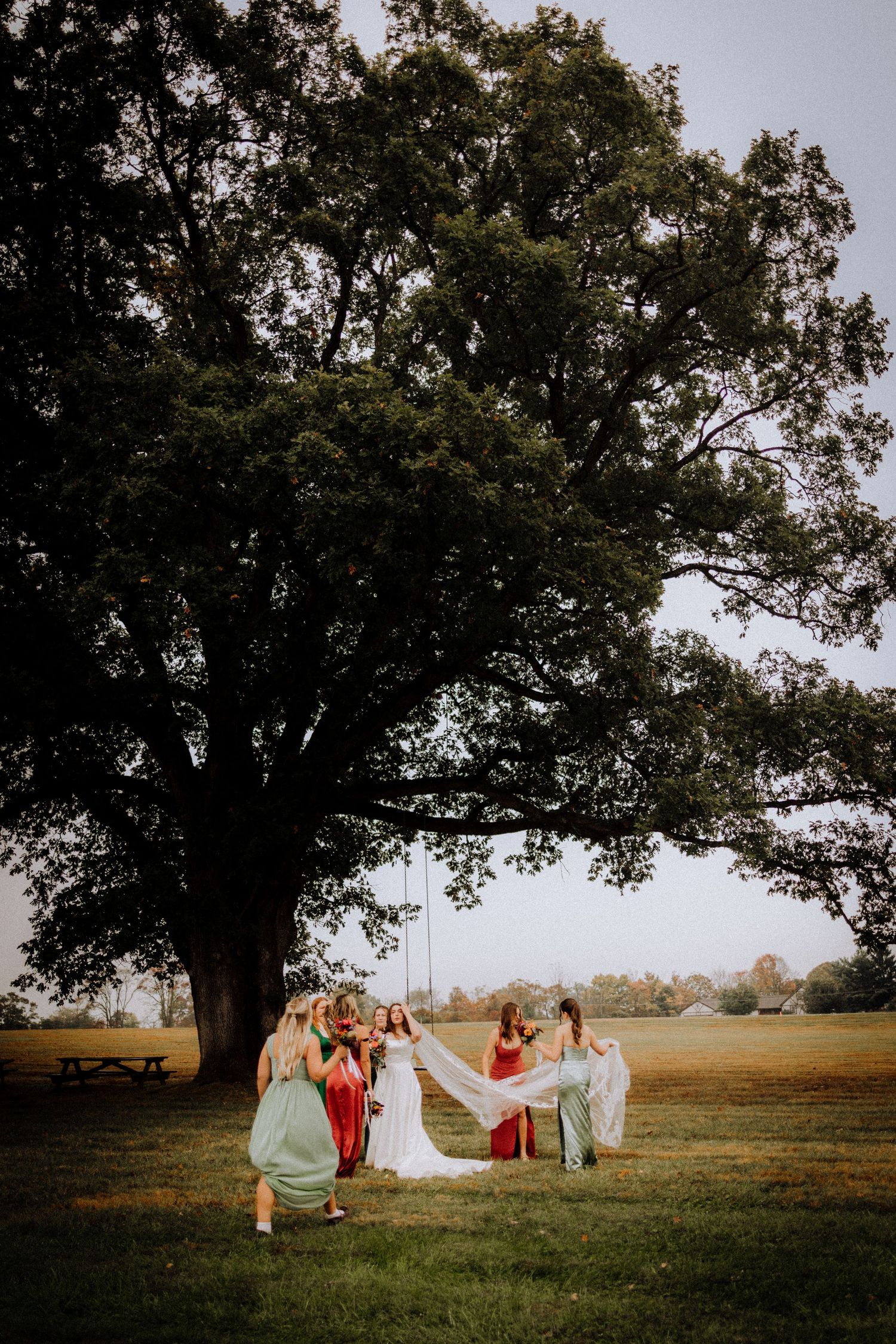 Wedding party gathered under large tree in open field at sunset.