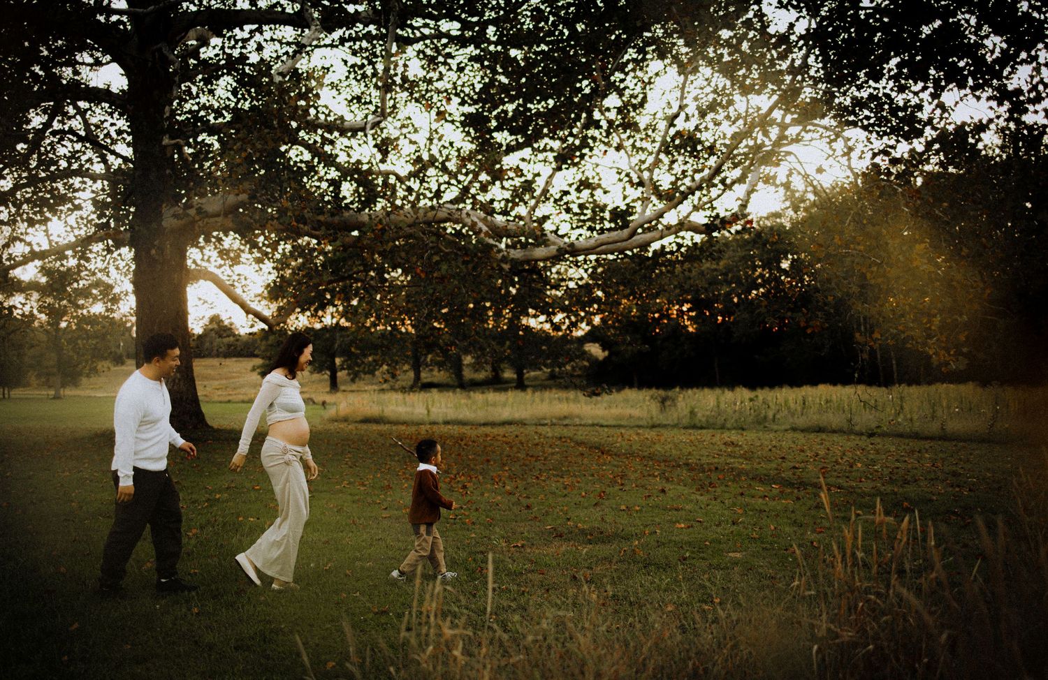 Silhouetted figures walking together in a golden sunset field with trees in the background.