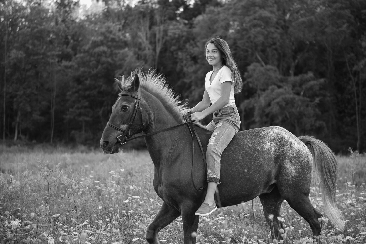 A rider trots through a wildflower meadow on horseback in black and white.