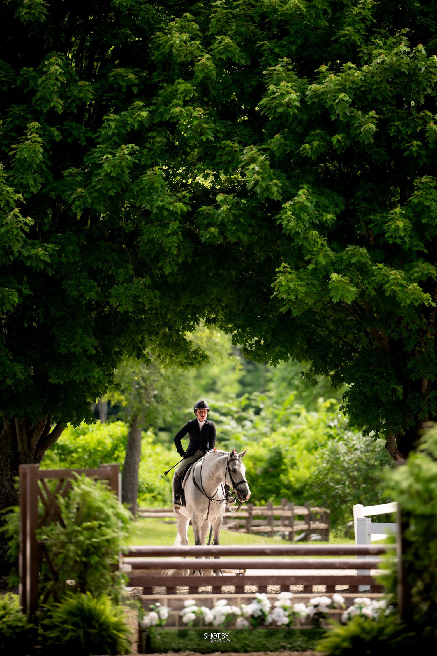 An equestrian rider in formal attire guides a white horse through a lush green archway of trees.