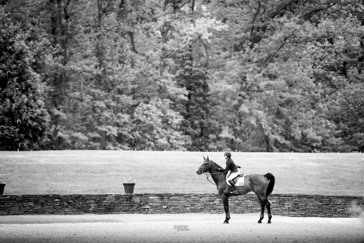 Black and white photo of a rider on horseback standing near a stone wall with lush trees in the background.