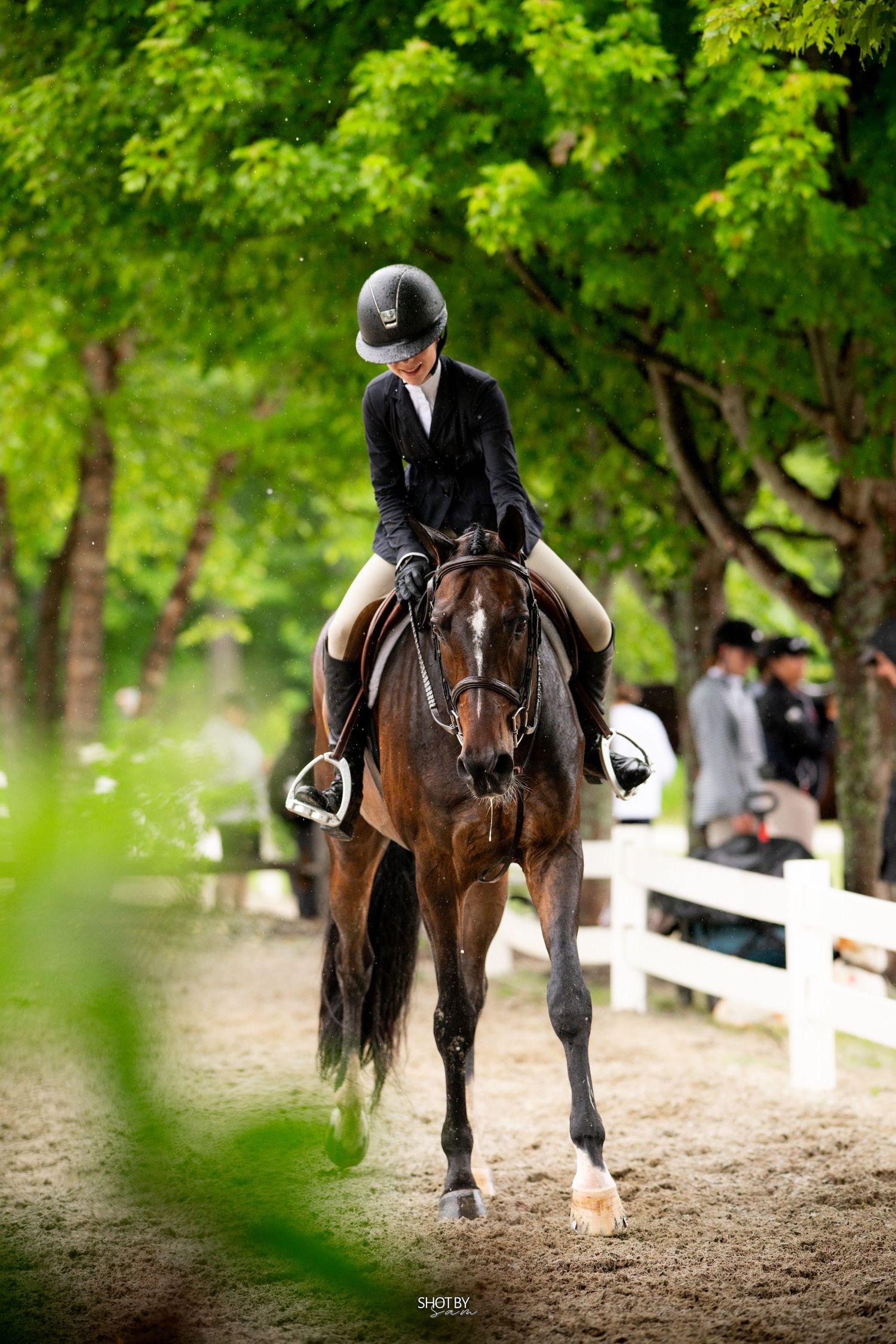 A rider in formal equestrian attire competes on a bay horse in a show ring surrounded by greenery.
