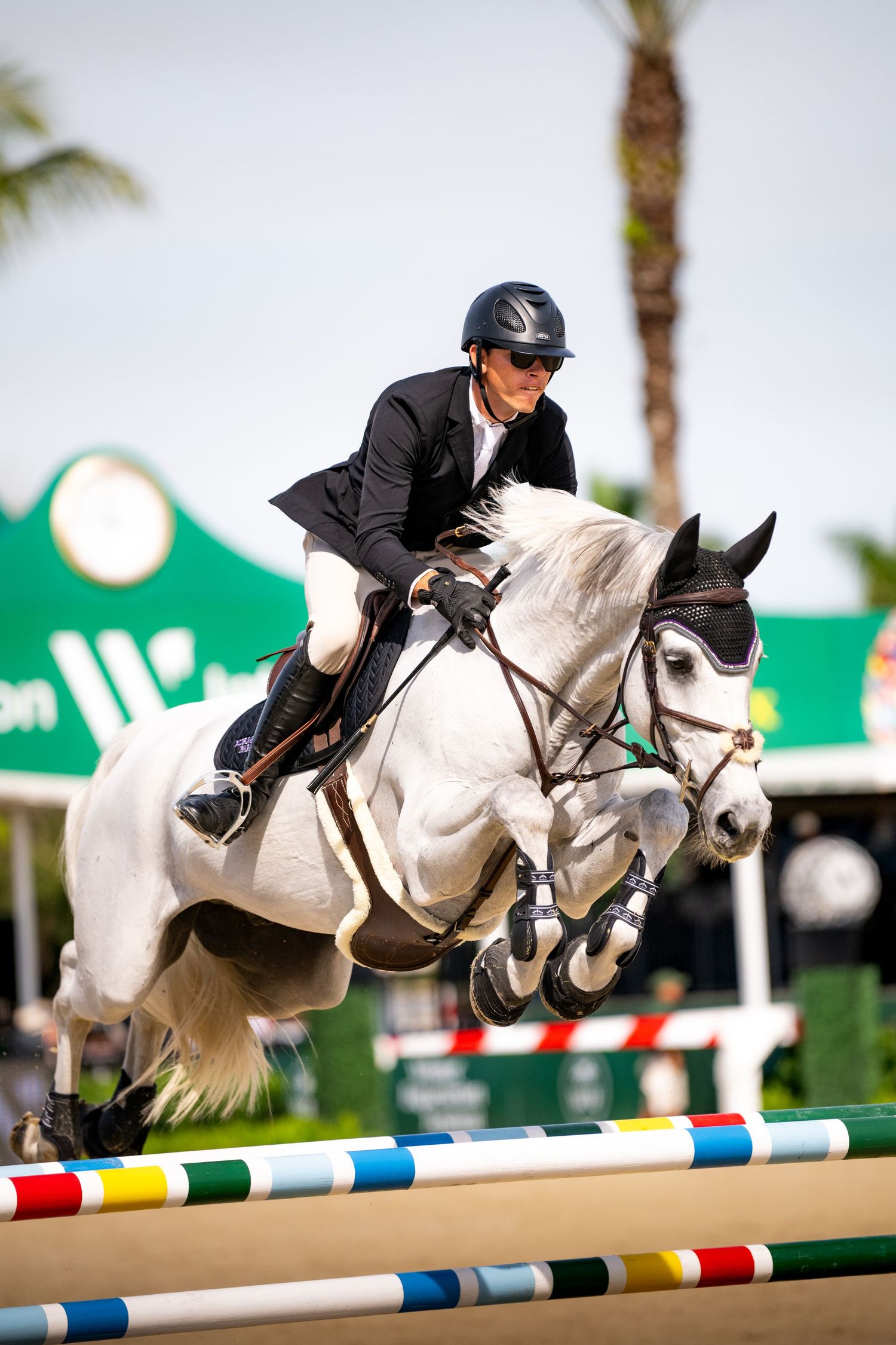 Sequence of a white horse and rider clearing a colorful show jumping obstacle in three progressive action shots.