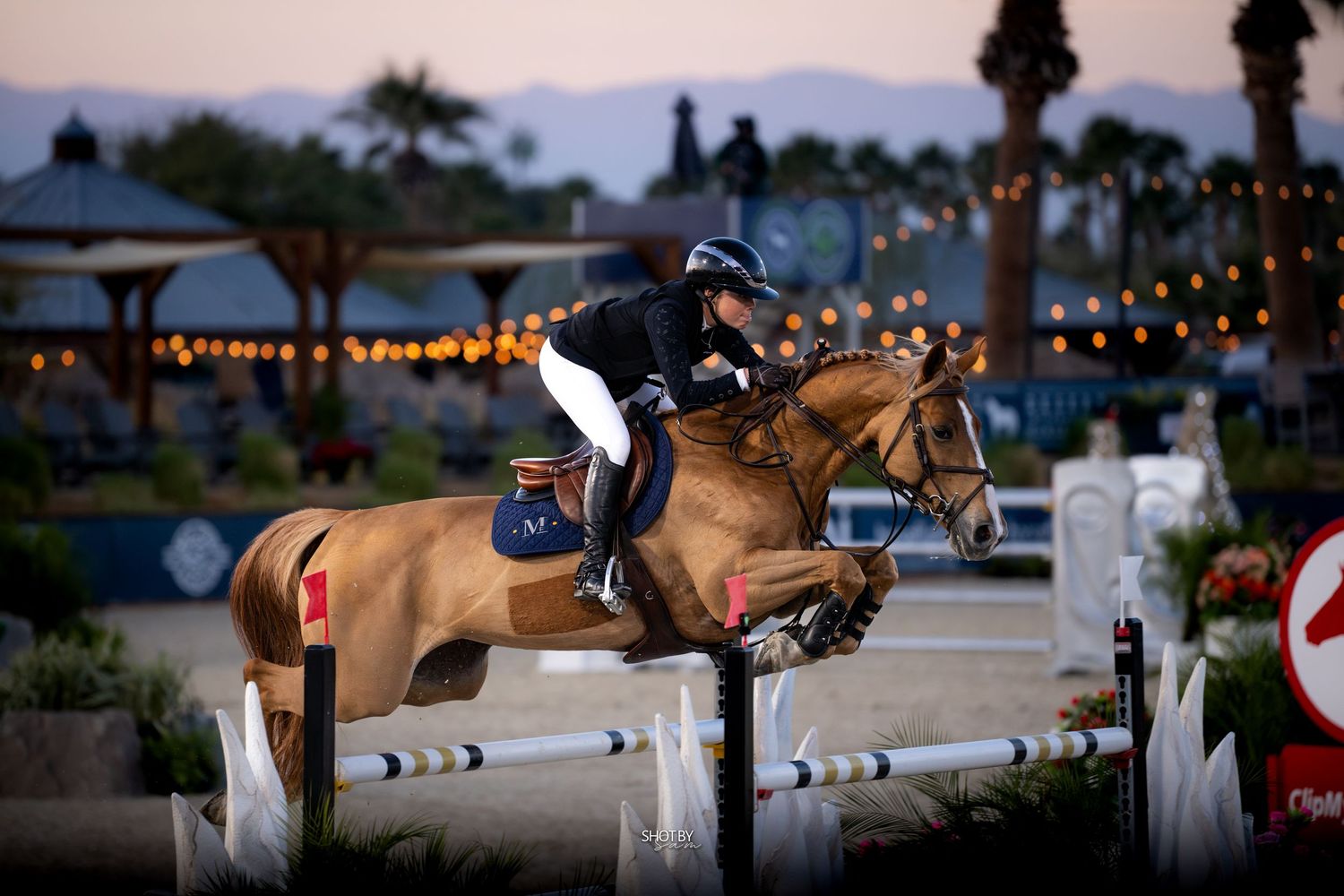 Equestrian rider guides horse over white show jumping obstacles at outdoor competition during sunset.