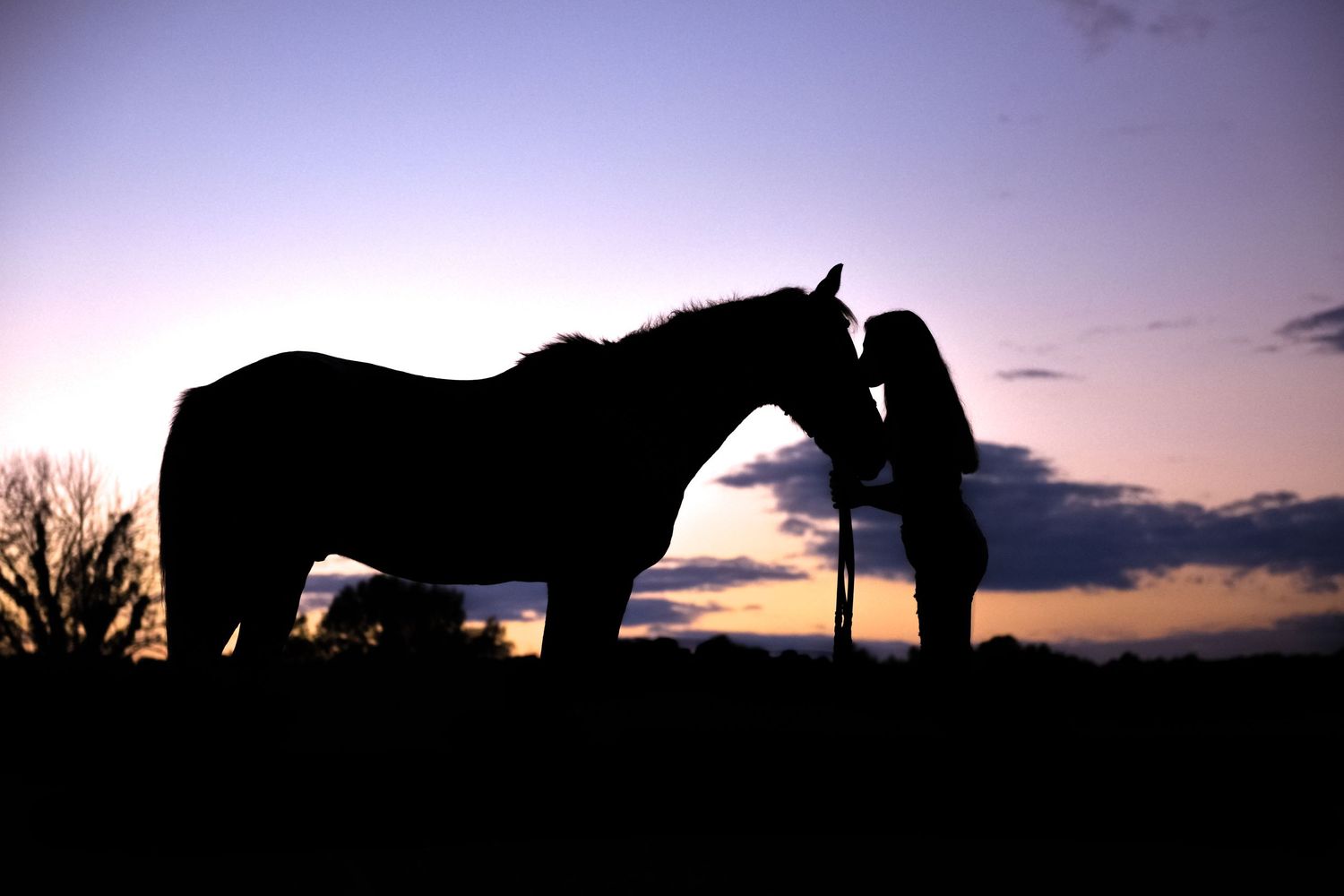 A silhouetted horse and companion create a striking scene against a purple sunset sky.