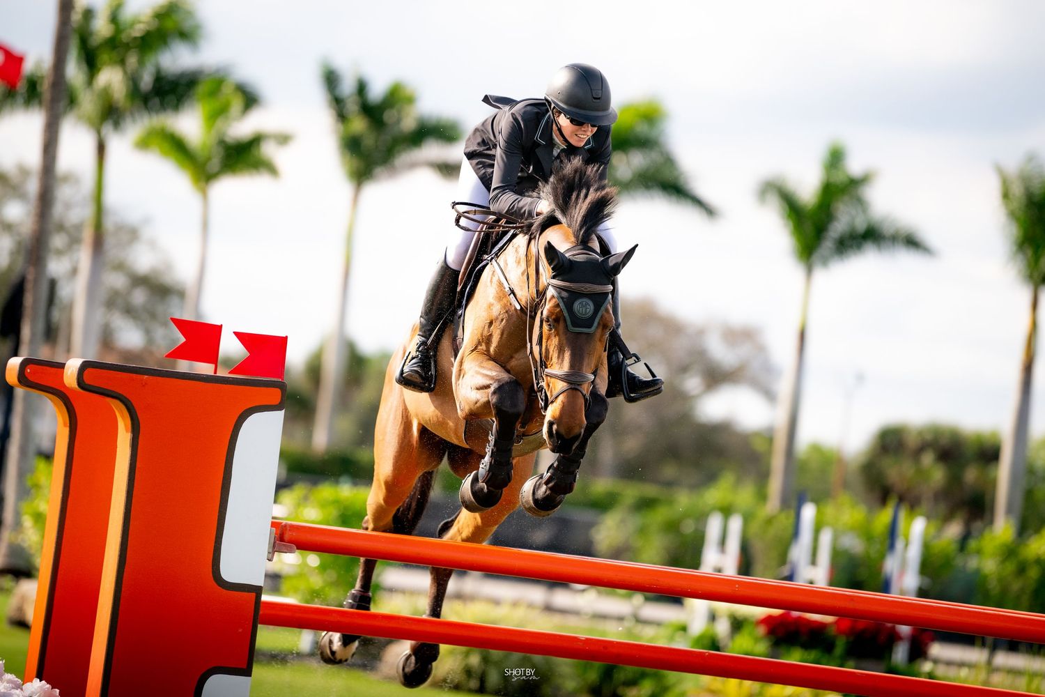 Equestrian rider and horse jumping over red and white obstacles during a show jumping competition on a sunny day.