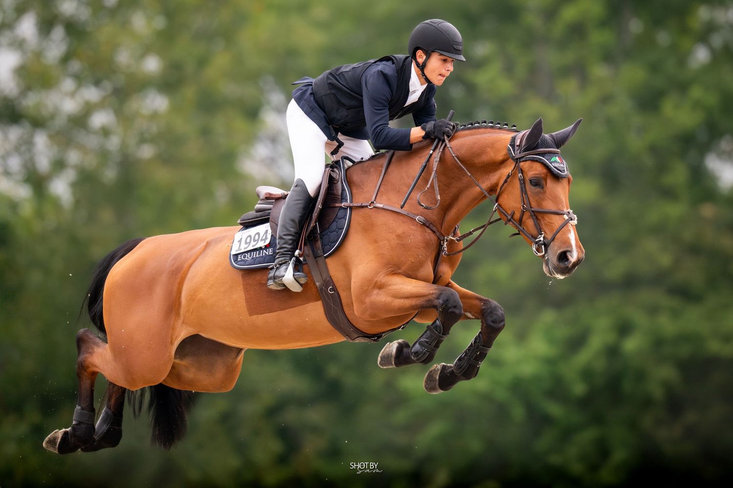 Equestrian rider in black jacket and helmet jumps over obstacle on chestnut horse during competition.