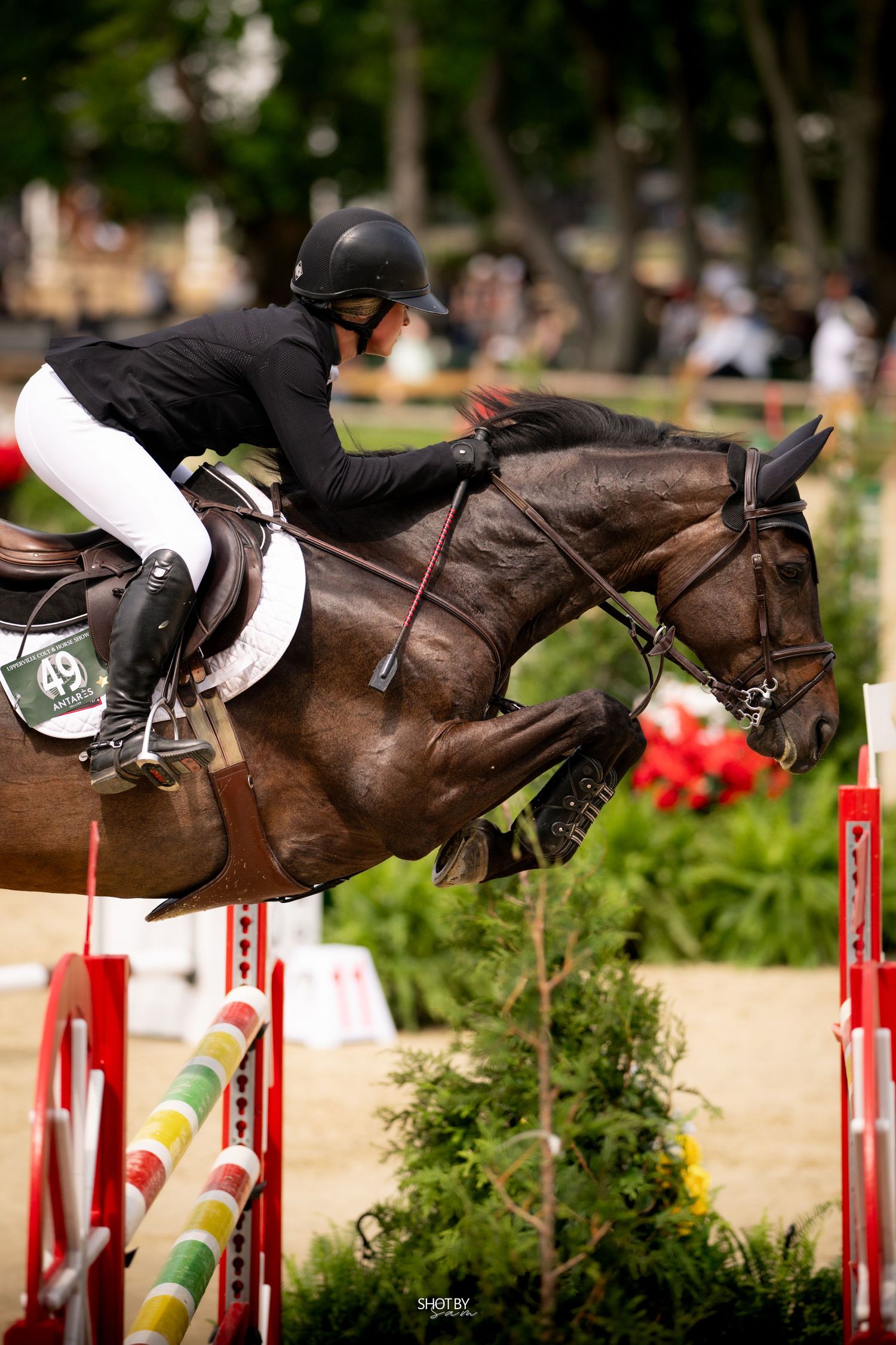 Sequence of show jumping photos capturing a horse and rider clearing red and white poles in an equestrian competition.