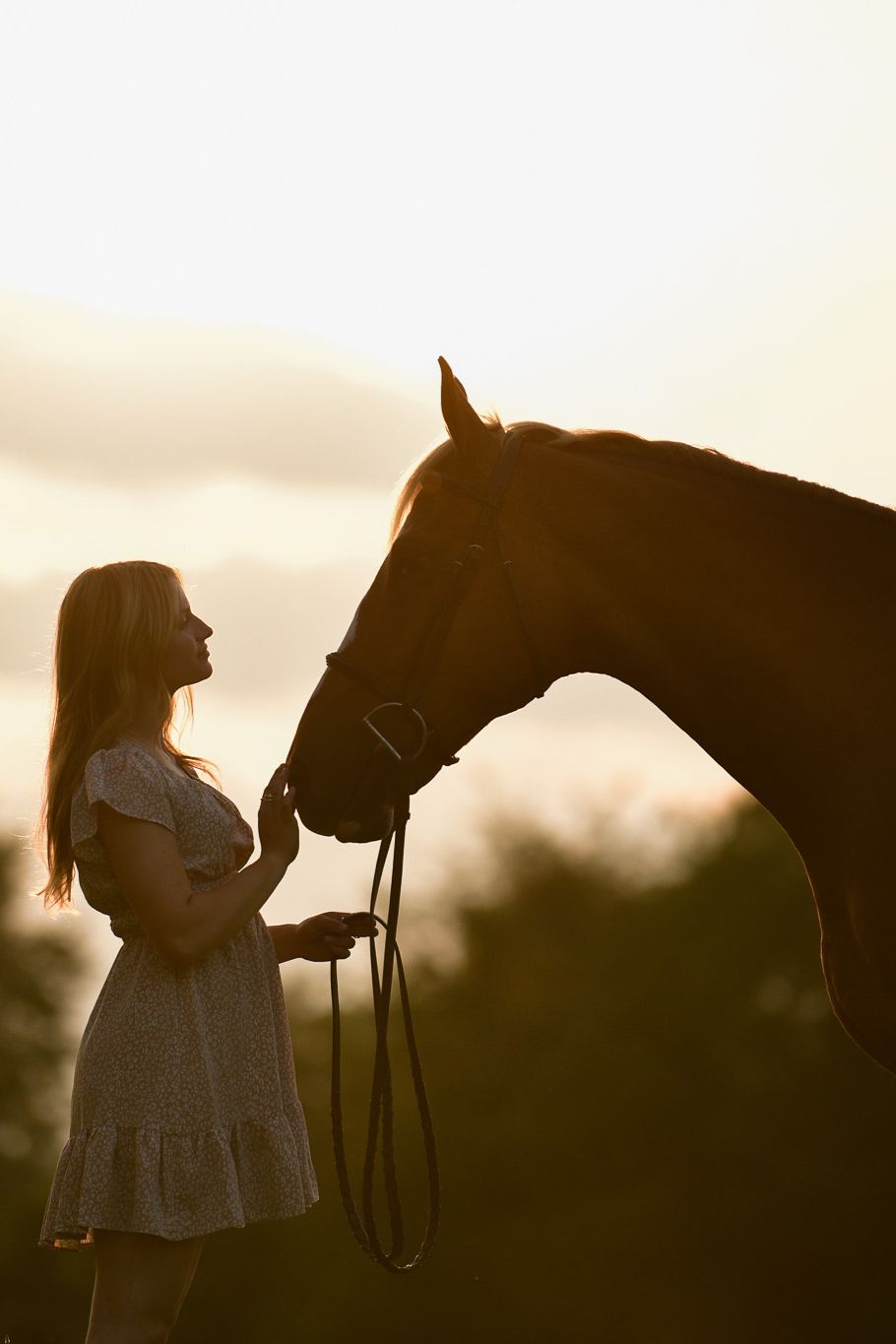 A silhouetted horse and rider share an intimate moment against a sunset sky.