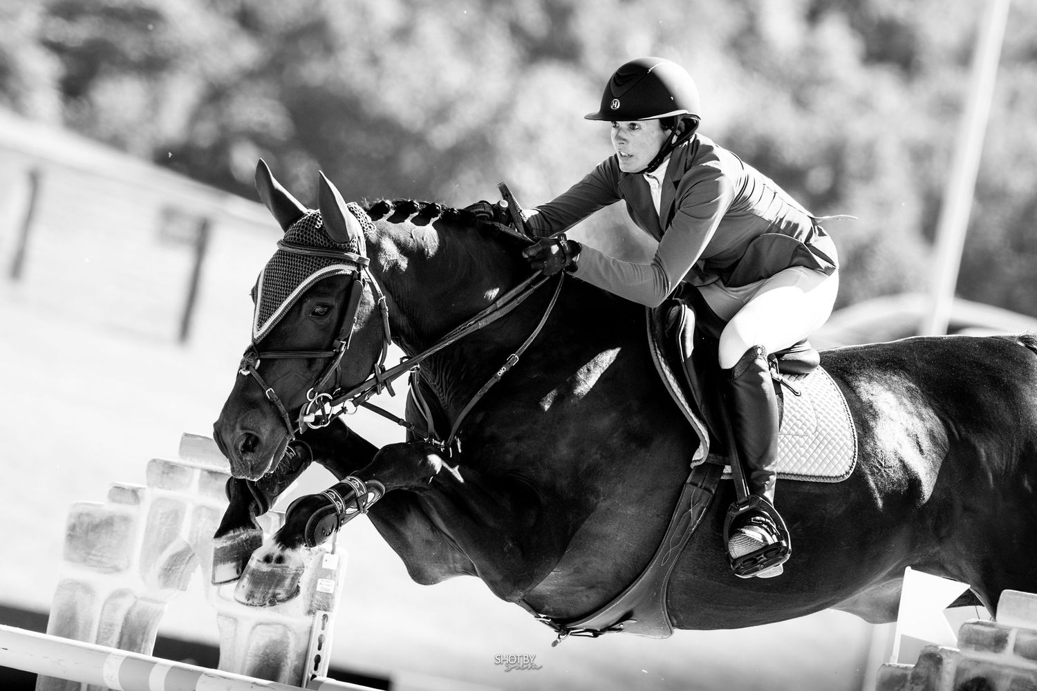 Dynamic black and white capture of show jumping pair clearing competition obstacle.