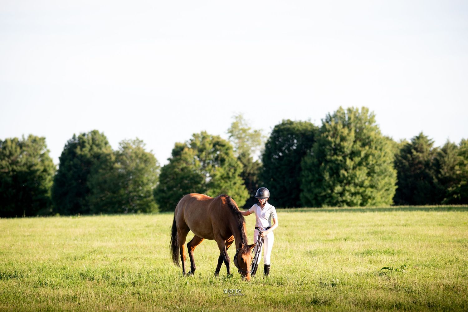 A rider in equestrian attire stands beside a chestnut horse grazing in a lush green field.