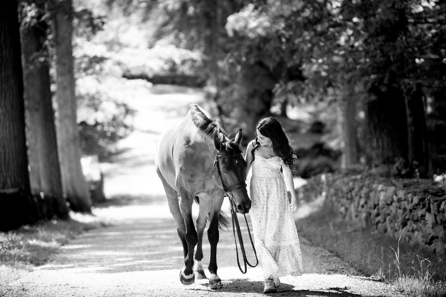 Black and white panoramic view of horse and rider walking along a tree-lined path.