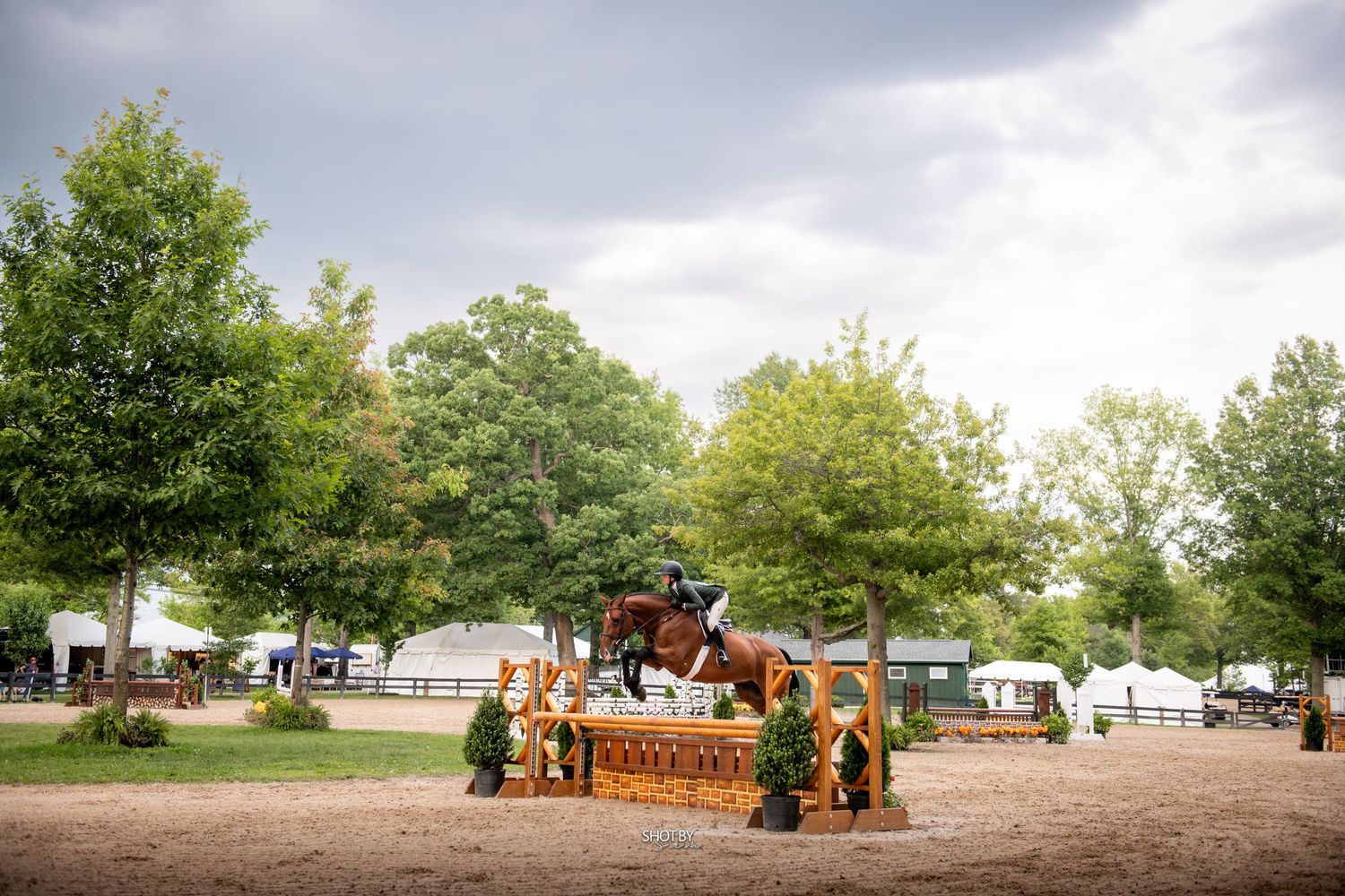 An equestrian rider on a chestnut horse jumping over a fence at an outdoor show competition.