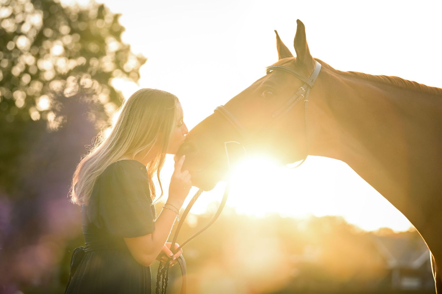 A horse and companion share a tender moment in golden sunset light with lens flare creating a dreamy atmosphere.