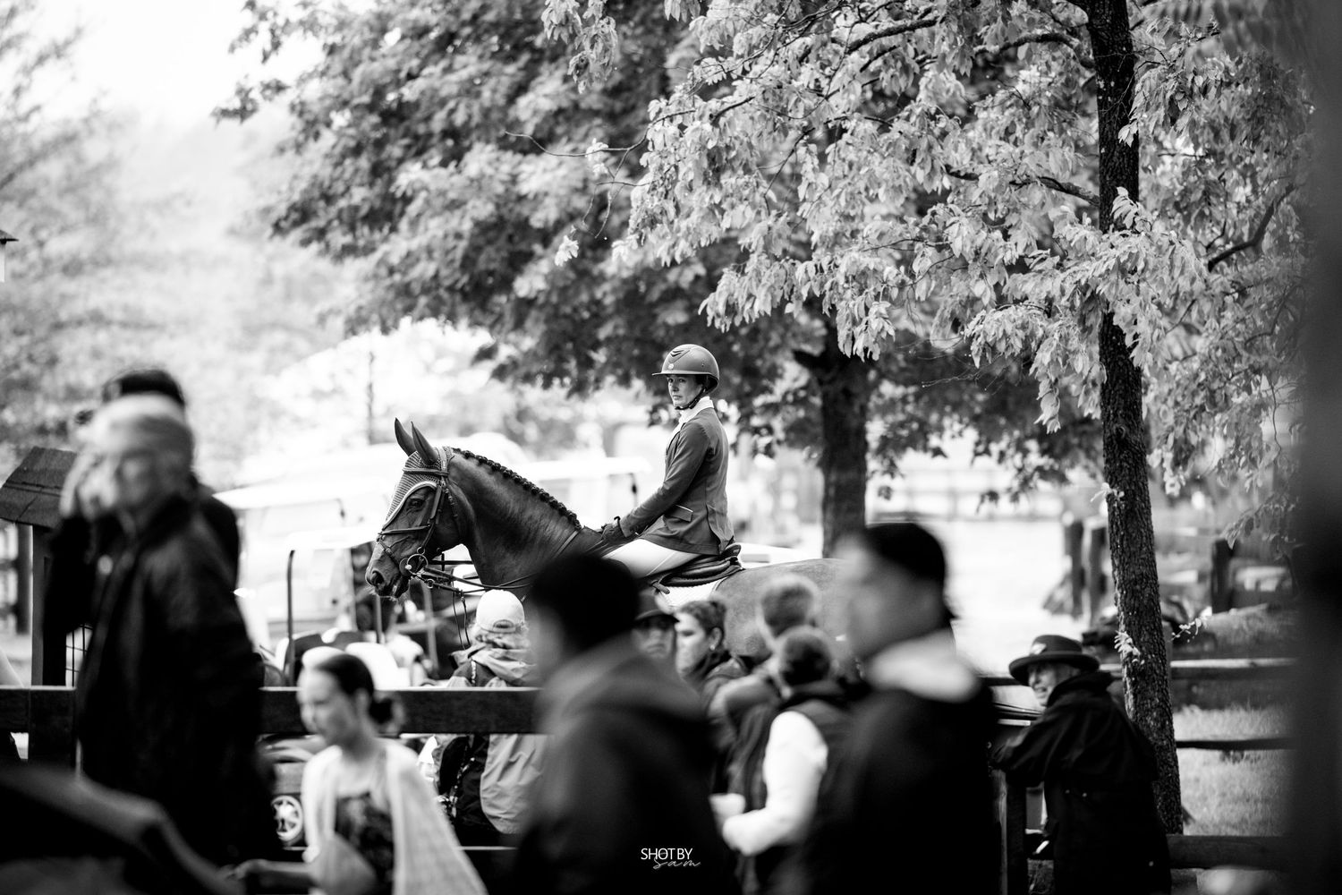 A black and white panoramic view shows a group gathered outdoors under trees during a social event.