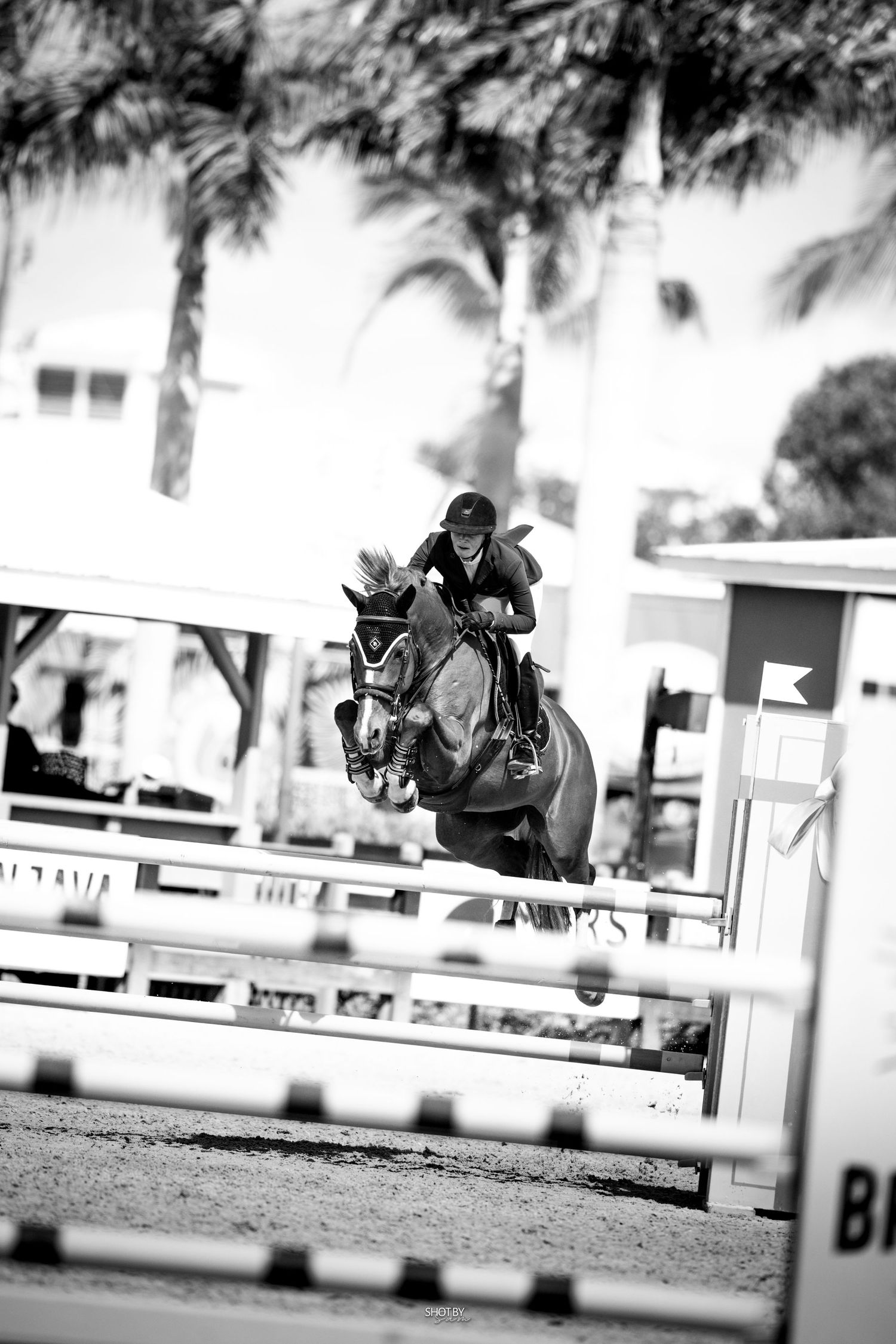 Black and white equestrian show jumping photo capturing horse and rider clearing a competition jump rail.