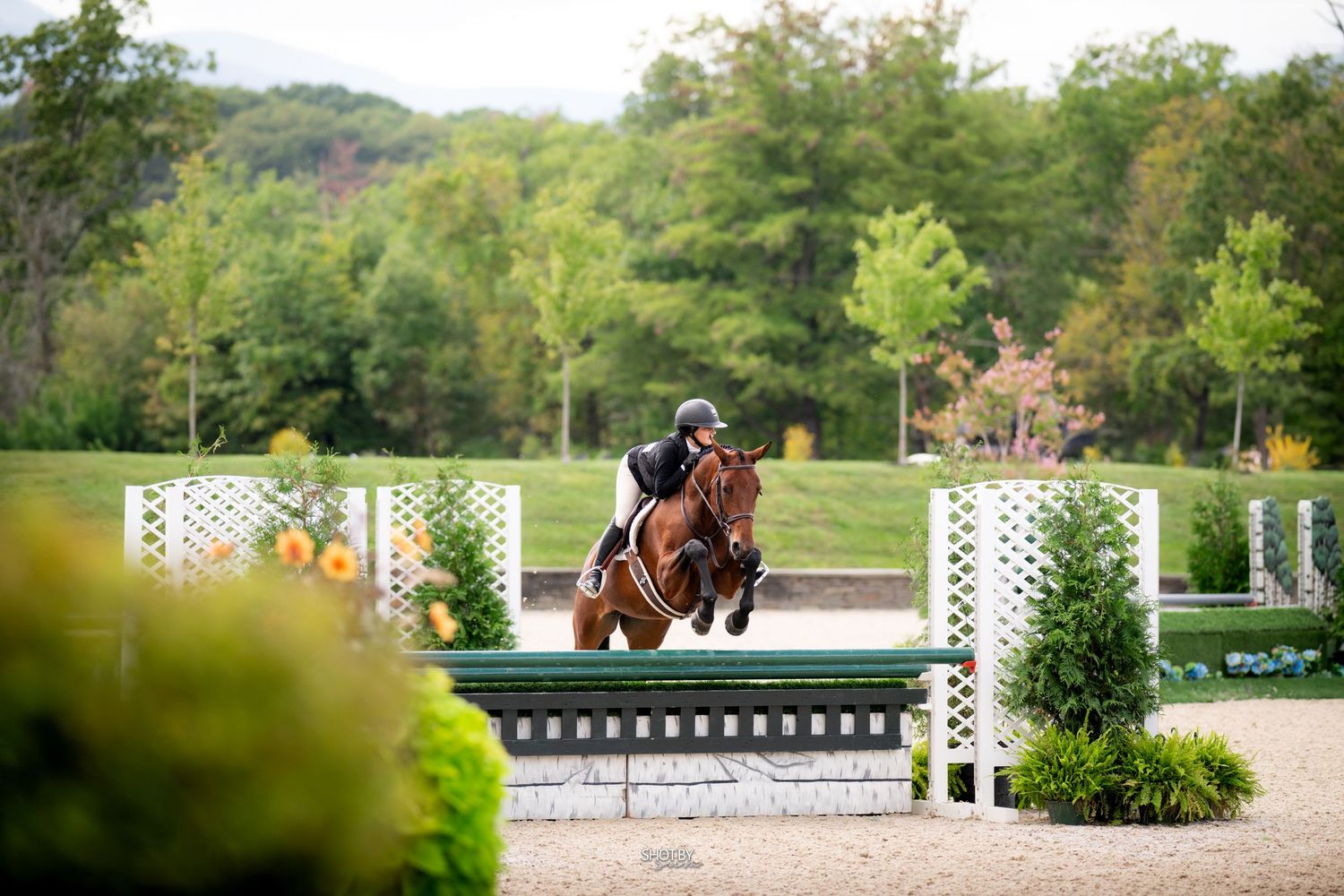 A horse and rider jump over a green obstacle during an equestrian competition with white fences and trees in background.