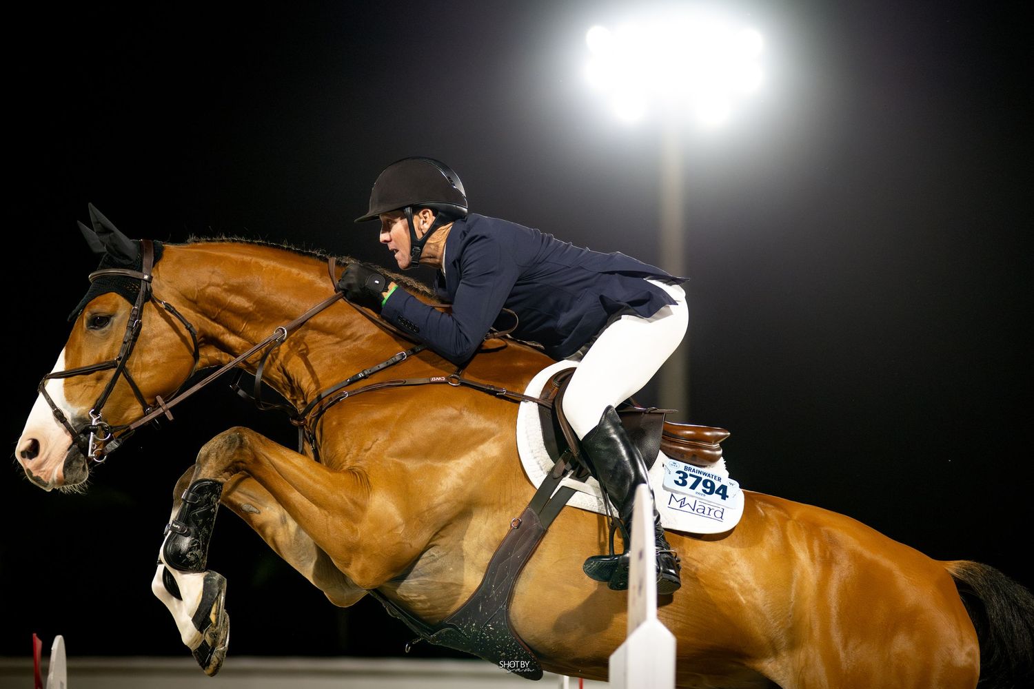 A rider in navy jacket and white pants jumps a chestnut horse over an obstacle at night under bright stadium lights.