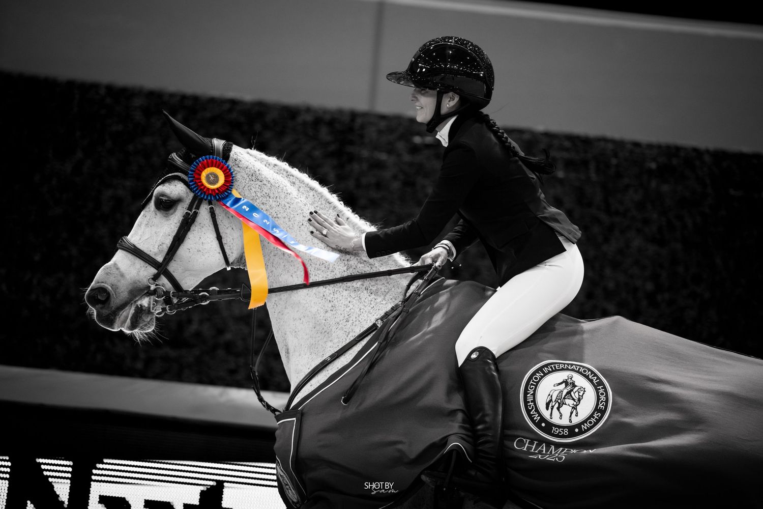 Black and white panoramic view of horse and rider during jumping competition.