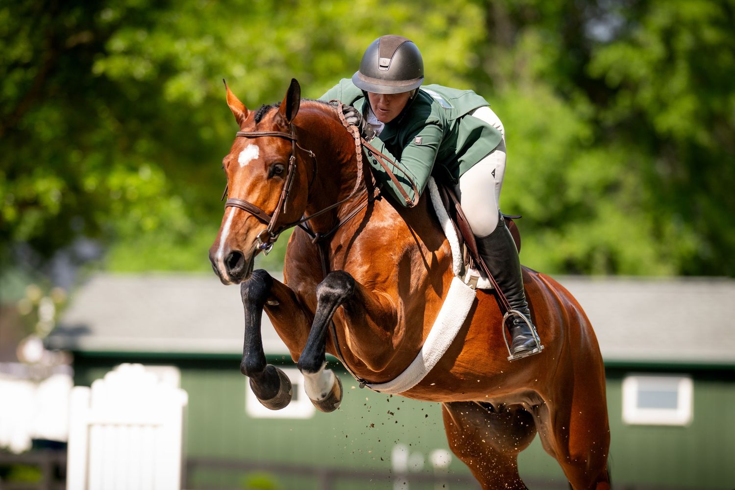 A rider guides a chestnut horse over a white show jumping fence during an equestrian competition.