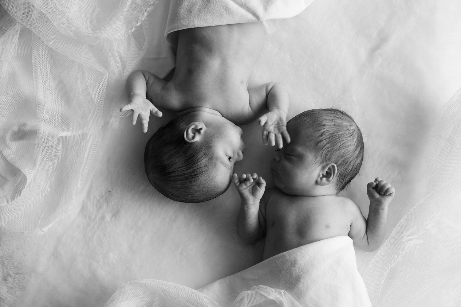 High-key artistic newborn photography on white textured background.