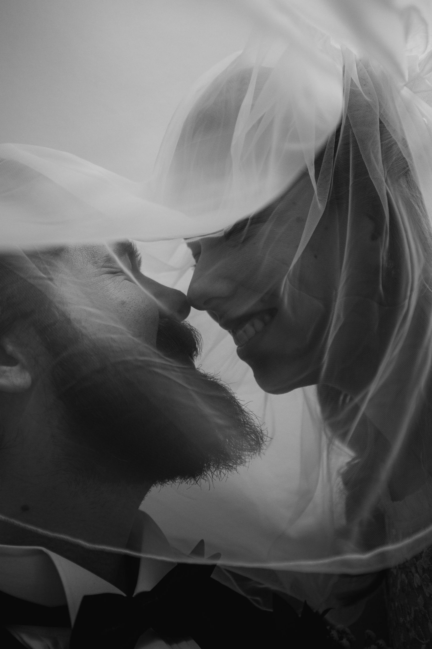 Artistic black and white silhouettes showing intimate moments between a couple in a romantic setting.