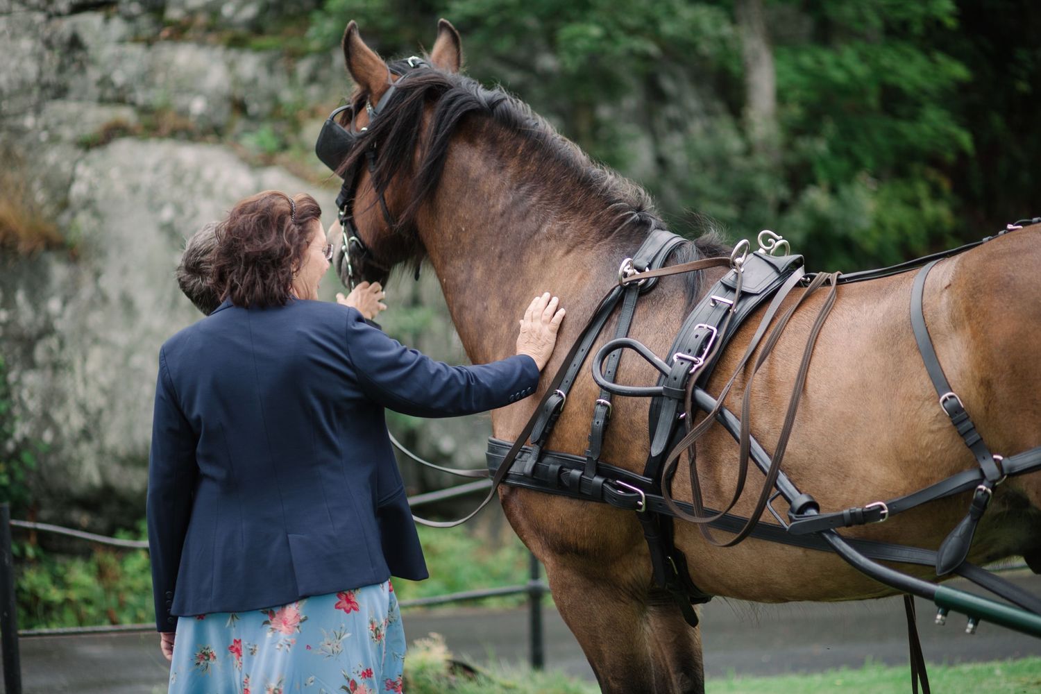 Brown horse with bridle and wedding decorations in outdoor setting.