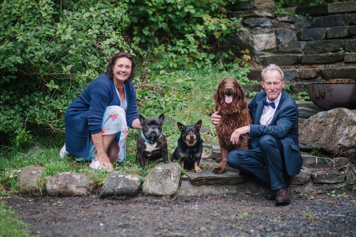 Group photo session with dogs and their owners by a stone wall outdoors.